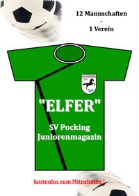 Elfer Titel 2010